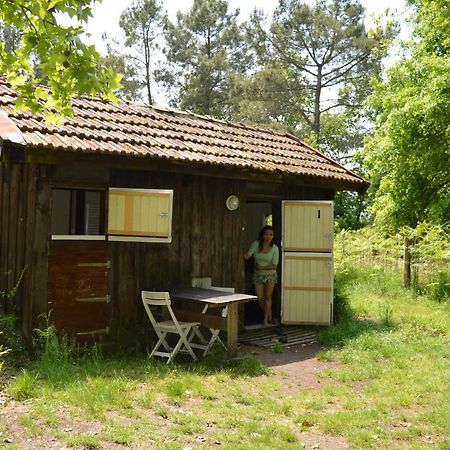 Cabane En Foret Onesse-et-Laharie Eksteriør bilde