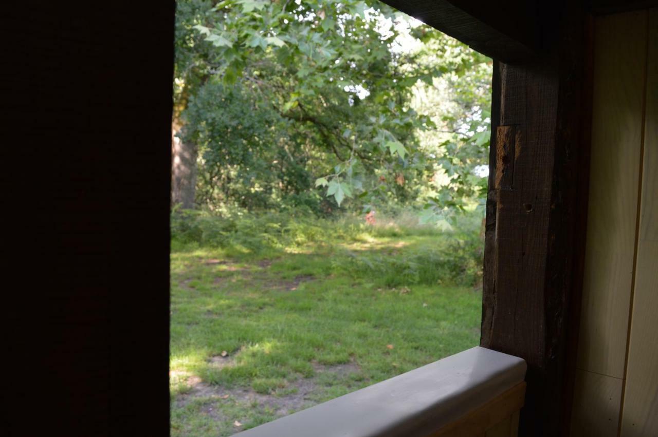 Cabane En Foret Onesse-et-Laharie Eksteriør bilde