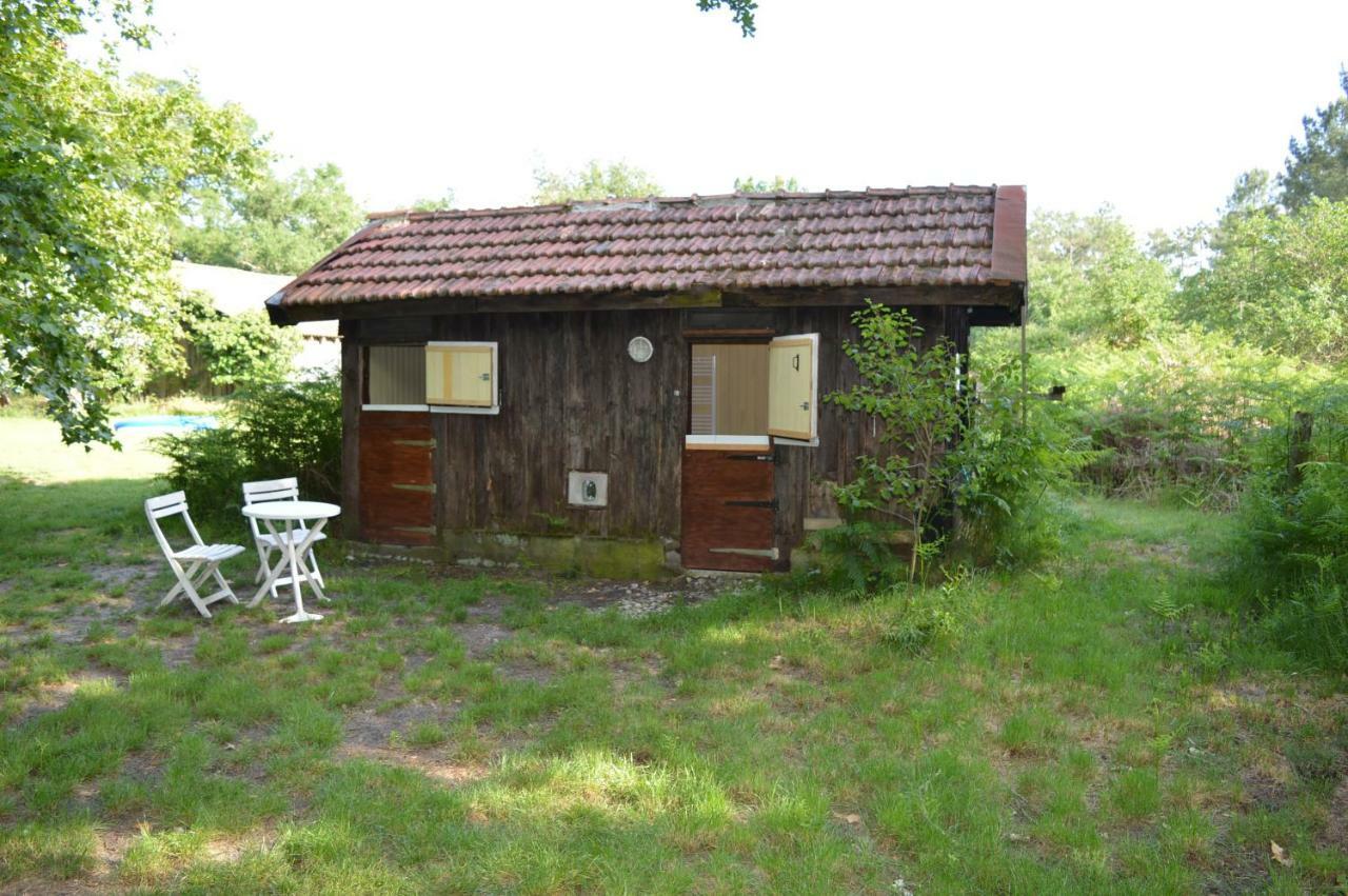 Cabane En Foret Onesse-et-Laharie Eksteriør bilde