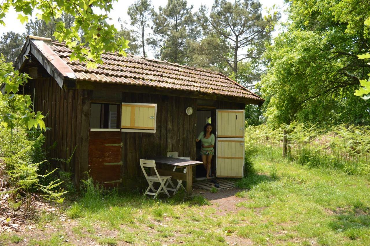 Cabane En Foret Onesse-et-Laharie Eksteriør bilde