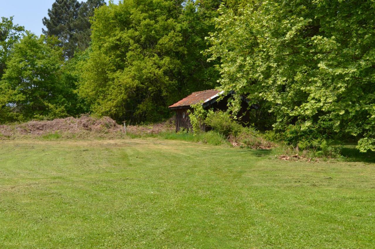 Cabane En Foret Onesse-et-Laharie Eksteriør bilde