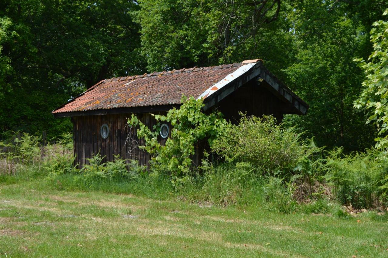 Cabane En Foret Onesse-et-Laharie Eksteriør bilde